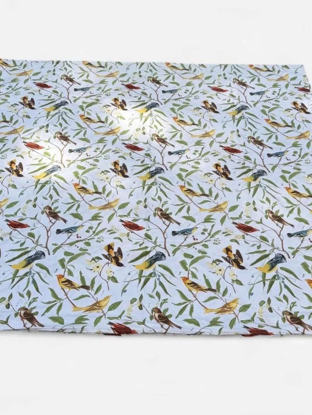 Pottery Barn Spring Sparrow Bird Botanical Cotton Duvet Cover Full Rare